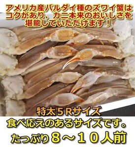 【送料無料】2024 特太５R　新物 生ずわい３ｋ7肩中心（アラスカ州産バルダイ種）（蟹 カニ ズワイガニ かに）