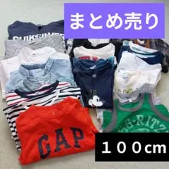 まとめ売り☻　盛りだくさん　男の子　１００サイズ