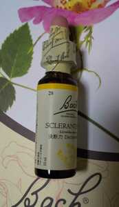  no28 スクレランサス グリセリン ベース 10ml バッチフラワー レスキュー p82wtrt