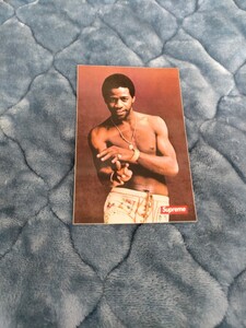 【新品】 SUPREME シュプリーム AL GREEN STICKER アルグリーン ステッカー 新品未使用　　