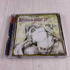 1MC12 CD Dinosaur jr. youre Living Over Me