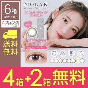 4箱購入ごとに2箱無料【6箱SET】 モラク ワンデー MOLAK 1DAY 4箱 10枚 度あり 度なし カラコン 1日使い捨て モラクワンデー