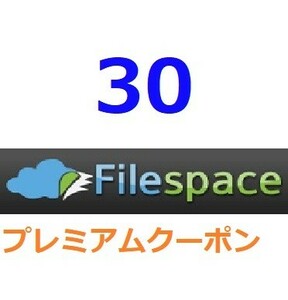 Filespace公式プレミアムクーポン 31日間　入金確認後1分～24時間以内発送