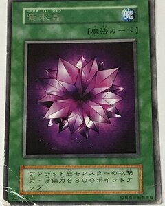 遊戯王 ジャンク 初期 レア 魔法 1枚 紫水晶