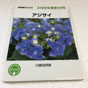 即決　未読未使用品　全国送料無料♪　アジサイ (NHK趣味の園芸 よくわかる栽培12か月)　JAN- 9784140402269