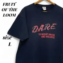 US古着 フルーツオブザルーム半袖Tシャツ(L) D.A.R.E. ブラック 黒