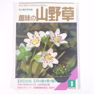 趣味の山野草 No.102 1989/1 月刊さつき研究社 雑誌 植物 野草 草花 特集・初日の出 正月を飾る寄せ植え 羽蝶蘭最新銘花 ほか