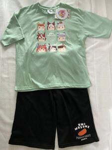 定価￥2530★新品　ウマ娘　レディースM　ルームウエア　　半袖Tシャツ＆ハーフ丈パンツ　パジャマ　Avail アベイル 競馬