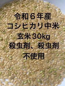 令和６年度　魚沼産コシヒカリ　殺虫剤、殺菌剤不使用、低農薬　中米　30kg 1.90mm下1.85mm上