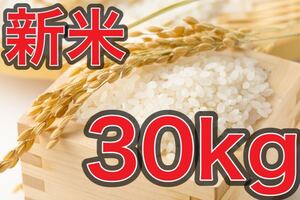 山口県産 米 令和6年度 ミルキークイーン 30kg 精米済 送料無料