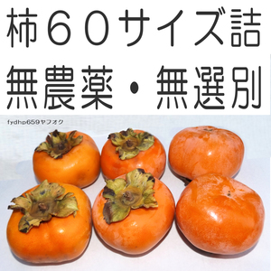 「 柿 無農薬 ６０サイズ箱＝ 10個 ～14個位＋ 柿の葉 15枚」甘柿 次郎柿 入浴剤 無添加 メダカ 冬眠 抗酸化 国産 無農薬 愛知県 お茶