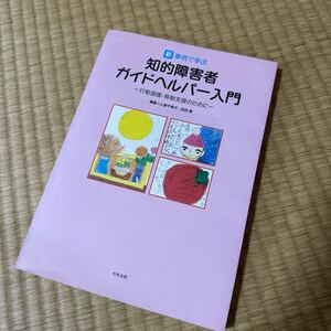 新・事例で学ぶ知的障害者ガイドヘルパー入門　行動援護・移動支援のために 上原千寿子／編集　松田泰／編集　美品