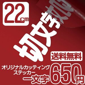 カッティングステッカー 文字高22センチ 一文字 650円 切文字シール アメフト ファイングレード 送料無料 フリーダイヤル 0120-32-4736