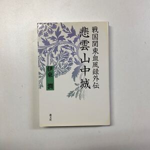 送料無料 伊東潤『悲雲山中城　戦国関東血風録外伝』叢文社　2004年　初版　カバー