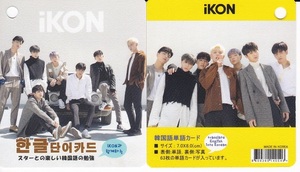 ☆New！■IKON/アイコン■写真付【韓国語単語カード63枚】