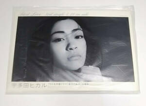 宇多田ヒカル「First Love」1999年4月発売3rdシングルCD卓上スタンドポップPOP 新品未開封品 A4サイズ
