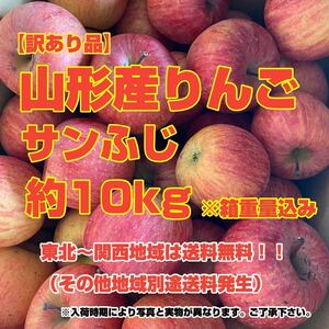 a5山形産りんご サンふじ 約10kg〈訳あり家庭用〉