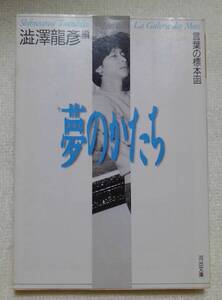 夢のかたち　澁澤龍彦：作　河出文庫