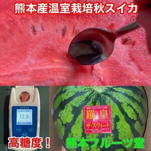 【秋スイカ】即発送！熊本産【羅皇】秀品Mサイズ（1玉5〜6kg）熊本フルーツ堂152