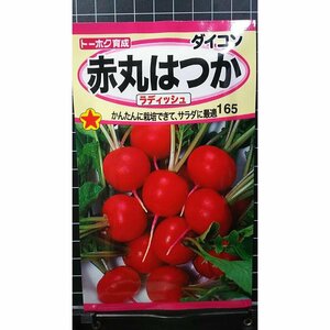 ３袋セット 赤丸はつか ラディッシュ ２０日 大根 種 郵便は送料無料