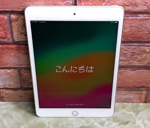 1円～ ●Apple iPad mini 第5世代 / Wi-Fi + Cellular / 256GB / シルバー / iOS 17.5.1 / 7.9型 (2048x1536) / バッテリー83% / MUXD2J/A