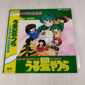 4LD1 LD うる星やつら 了子の９月のお茶会 レーザーディスク