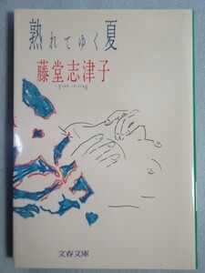 【熟れてゆく夏】(文春文庫)藤堂志津子　0047