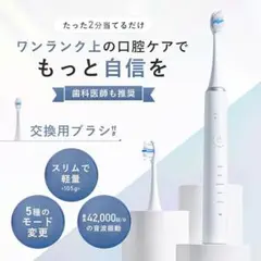 電動歯ブラシ 替えブラシ付 スリム 軽量 歯ブラシ 電動 ホワイトニング