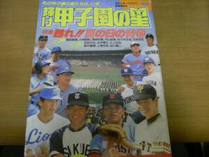 輝け甲子園の星1986年NO.4 第68回選手権大会地区展望/桑田真澄・清原和博・中山裕章・佐々木主浩　ほか ●高校野球