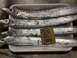 【100円スタート】【和歌山産】　太刀魚　（4匹で500ｇ）冷凍　84