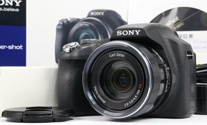 【 良品 】 SONY Cyber-Shot DSC-HX100V