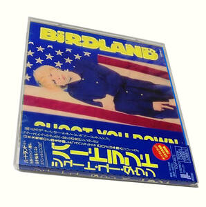 Promo新品Mega Rare Maxi90s 80s New Waveパワーポップ(The Damnedザ ダムド風)バードランド シュート ユー ダウンBIRDLAND Shoot You Down