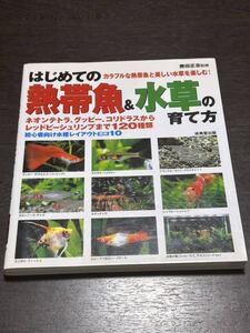 はじめての熱帯魚&水草の育て方　勝田正志監