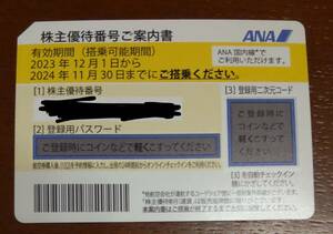 ANA株主優待券　搭乗可能期間2024年11月30日　1枚