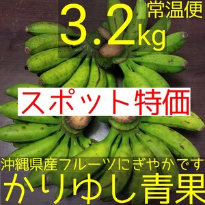 〈現品〉沖縄県産 島バナナＢ品 約3.2kg【常温便】11/29