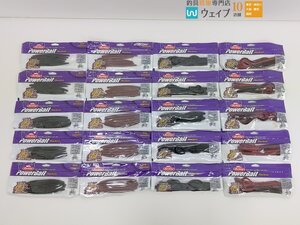 バークレイ パワーベイト マックスセント ジェネラル 6インチ ブラック・キングテール 8インチ ブラック 他 計20点セット 新品