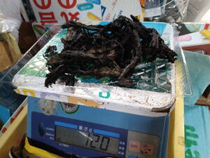 ★磯の香りと旨味が凝縮！イカ墨さきいか（120ｇ×２袋）