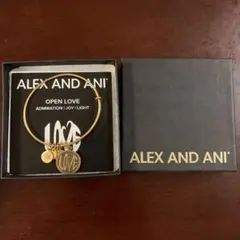 ALEX AND ANI ブレスレット