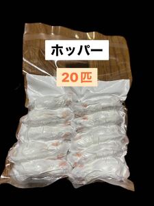 国産冷凍ホッパーマウス　20匹　送料込　沖縄及離島発送別料金　即発送　同梱可