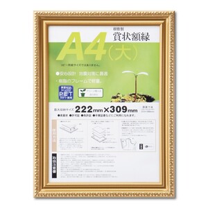 賞状額縁 許可証額縁 樹脂フレーム 金消-R PET A4(大)サイズ SP