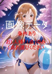 YAWR021 結城明日奈(アスナ) SAO 画像データ お一人様一点のみ(1円シリーズ全体で一点のみ) 