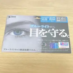 ☀️早い者勝ち☀️ブルーライトカット液晶保護フィルム　11.6型ワイド