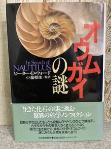 オウムガイの謎　ピーター・D・ウォード　小畠郁生＝監訳　1995年9月初版発行　河出書房新社