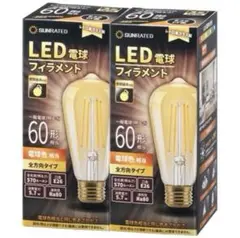 フィラメント電球 60W形相当 LED電球 5.7W E26口金  (2個入り)