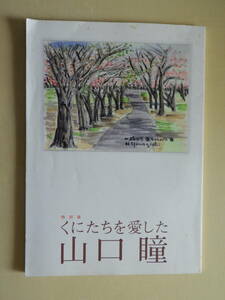 ★特別展 くにたちを愛した山口瞳 図録 佐治敬三 岩橋邦枝 常盤新平 柳原良平 将棋 競馬 野球 旅