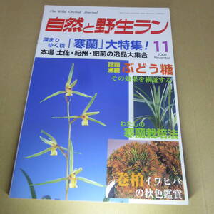 ＹＮ1-240911☆自然と野生ラン 2002年11月号 ※ 寒蘭 小町蘭 エビネ セッコク ※ 園芸JAPAN