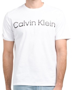 新品未使用! カルバンクライ メンズ ボーダーロゴ Tシャツ ホワイト 白 Lサイズ Calvin Klein 半袖 カットソー