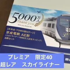 超レア⭐︎Nゲージ　スカイライナー　5000万人記念