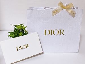 クリスチャン・ディオール「Christian Dior」ショッパー 長財布箱サイズ (4511) 正規品 付属品 ショップ袋 ブランド紙袋 小さいバッグ可