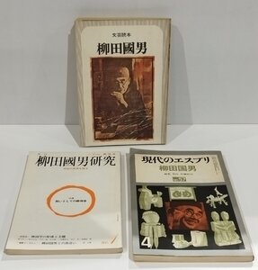 【3冊セット】文芸読本 柳田國男/季刊 柳田國男研究 創刊号/現代のエスプリ 柳田國男 No.57　佐藤晧三 他　河出書房新社 他【ac06q】